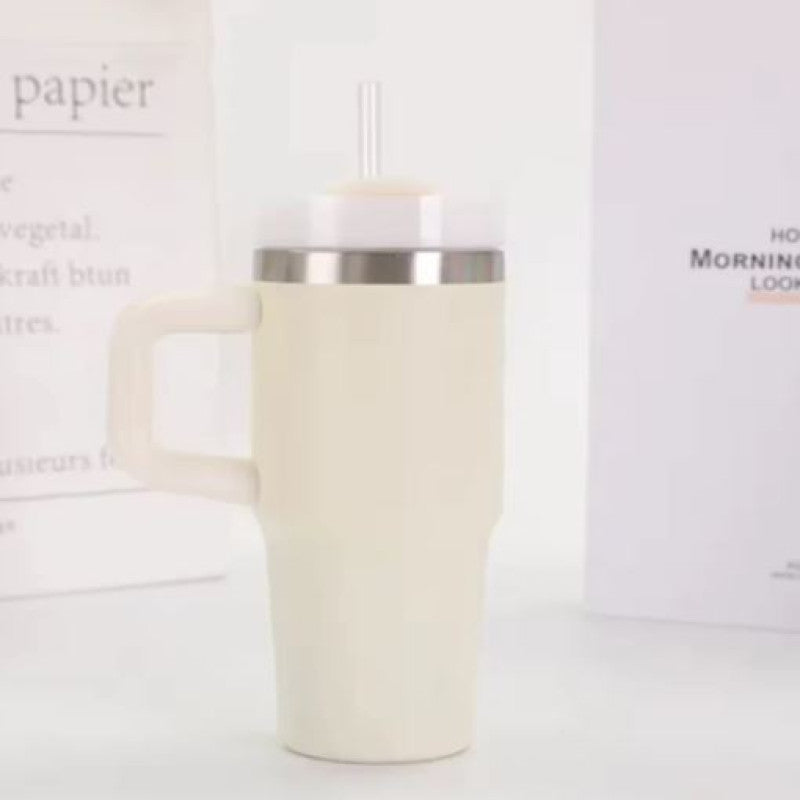 20oz Stainless Steel Tumbler with Handle and Straw 600ml
