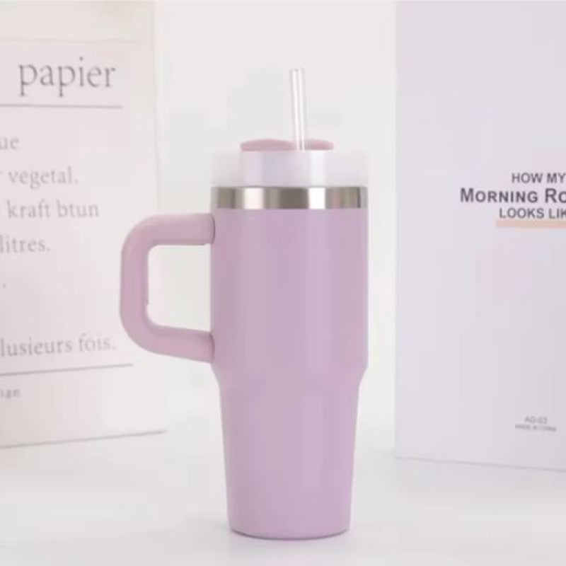 20oz Stainless Steel Tumbler with Handle and Straw 600ml